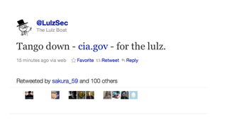 Woah: Lulz Security Just Took On the CIA